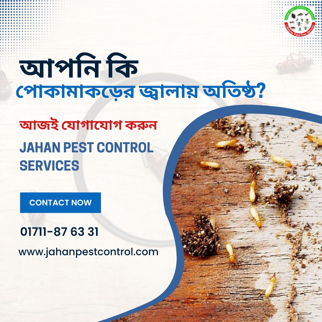 Interior design company in Bangladesh Termite Control Services