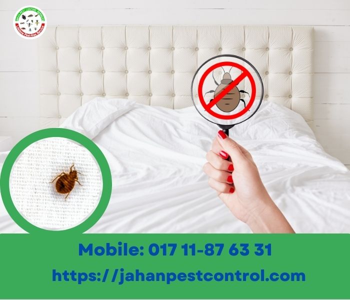 Advantages of Bed Bug Services