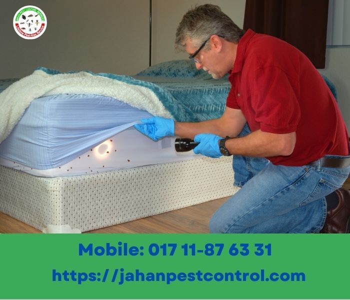 Aftercare and Prevention of bed bug infestations