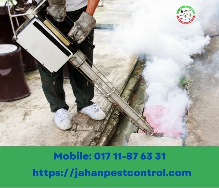 Effective Mosquito Control Services For Your Home