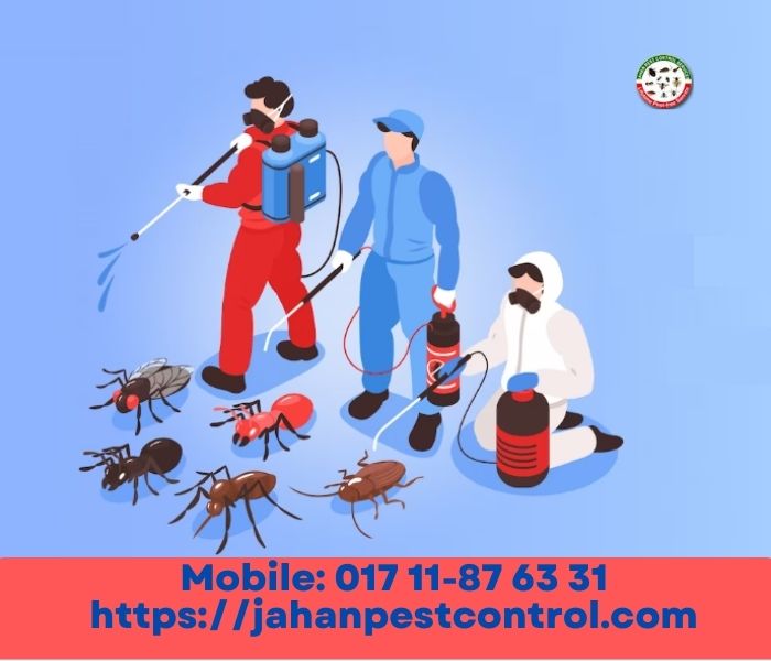 Household Pest Control Services With Tips and Tricks From The Experts