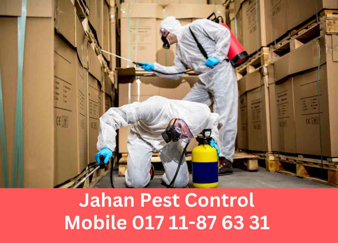 Interior design company in Bangladesh Get Professional Pest Control Service in Dhanmondi