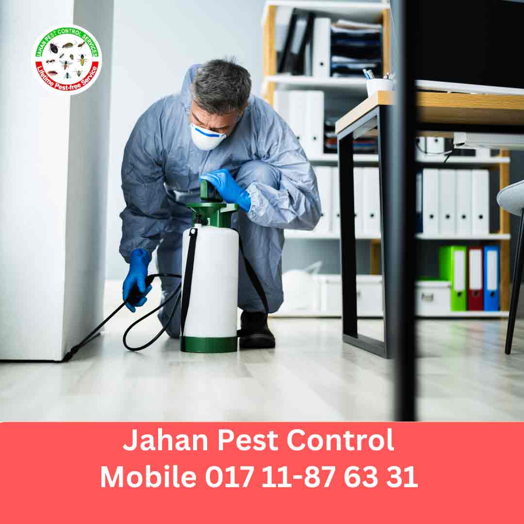 Interior design company in Bangladesh Our team of pest control experts in Dhanmondi
