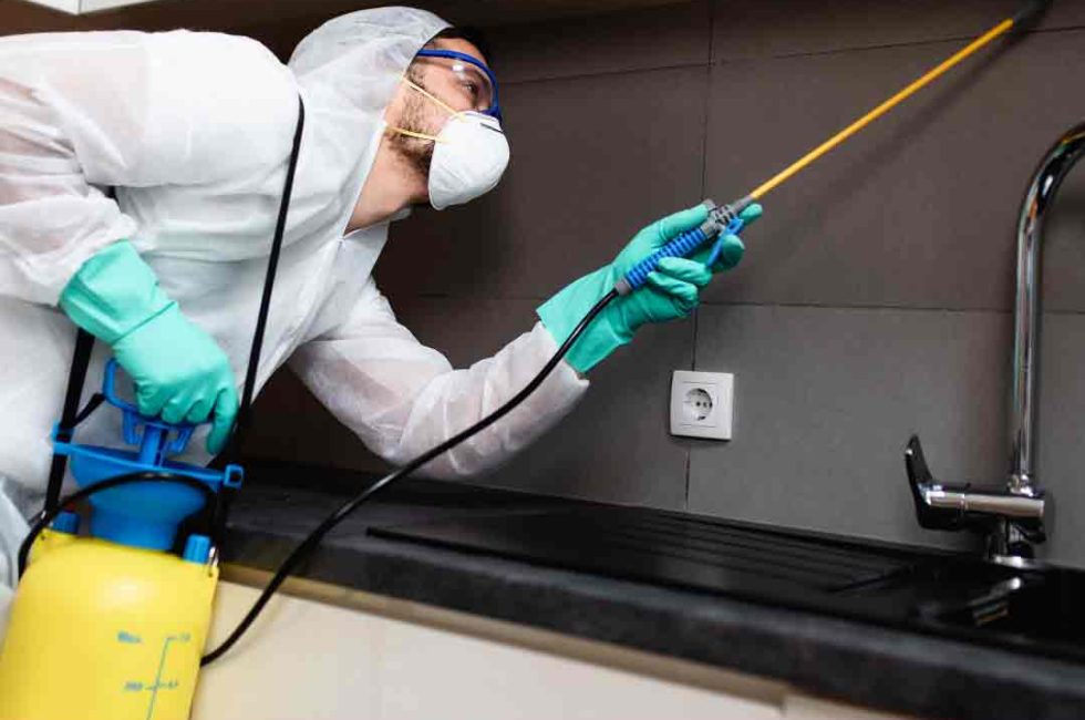 Interior design company in Bangladesh Pest Control Dhanmondi