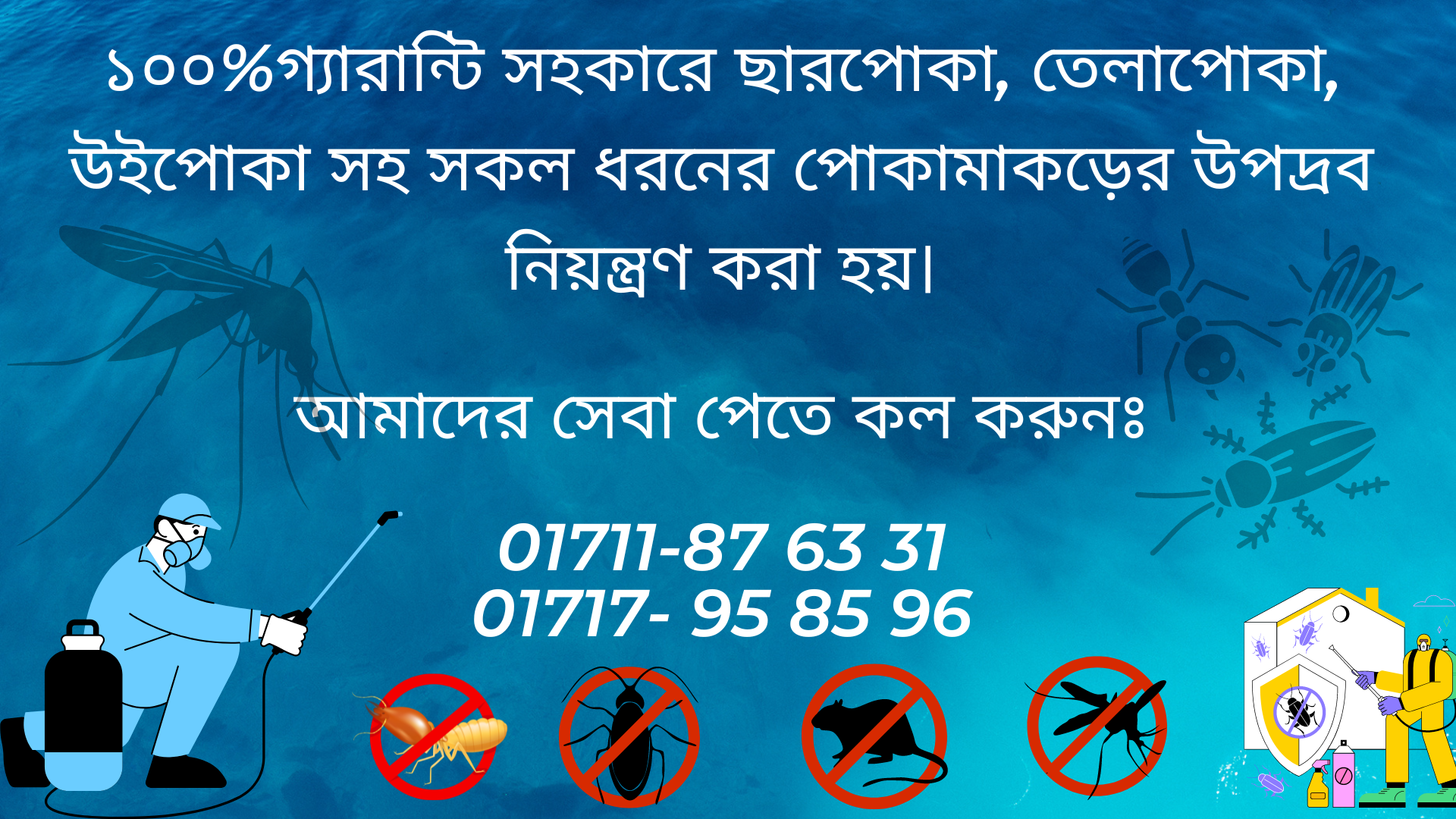 pest control bd