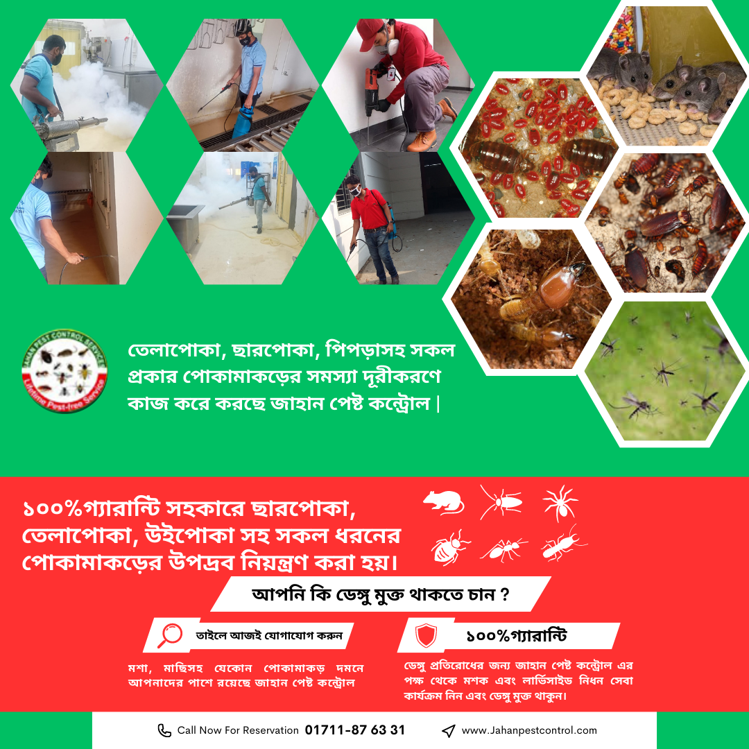 pest control comilla