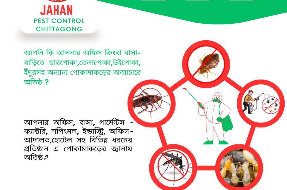 Interior design company in Bangladesh pest control services in Chittagong